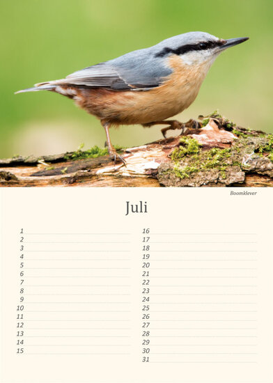 Birthday calendar birds Birthday calendar birds