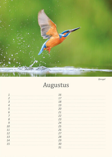 Birthday calendar birds Birthday calendar birds