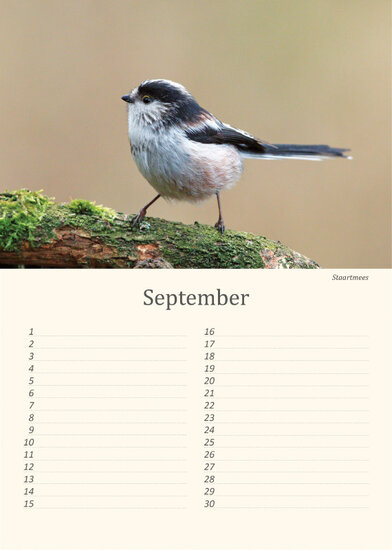 Birthday calendar birds Birthday calendar birds