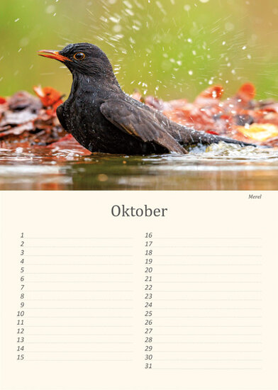 Birthday calendar birds Birthday calendar birds