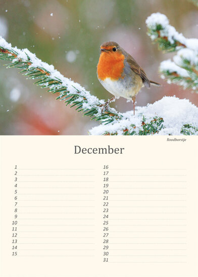 Birthday calendar birds Birthday calendar birds