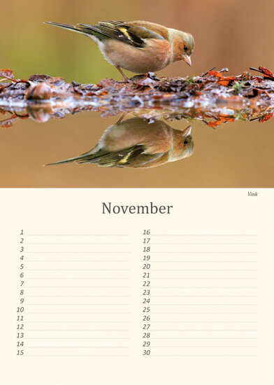 Birthday calendar birds Birthday calendar birds