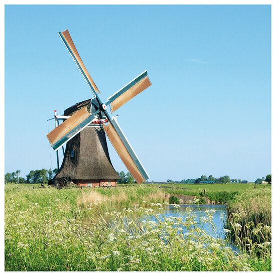 Birthday calendar mills
