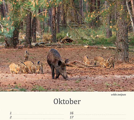 Birthday calendar animals Birthday calendar animals