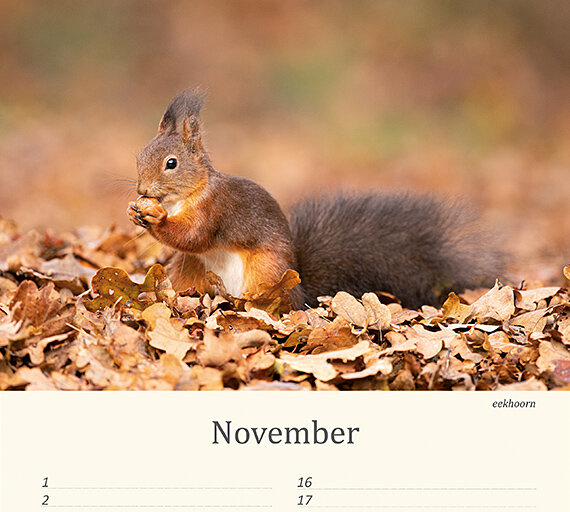 Birthday calendar animals Birthday calendar animals