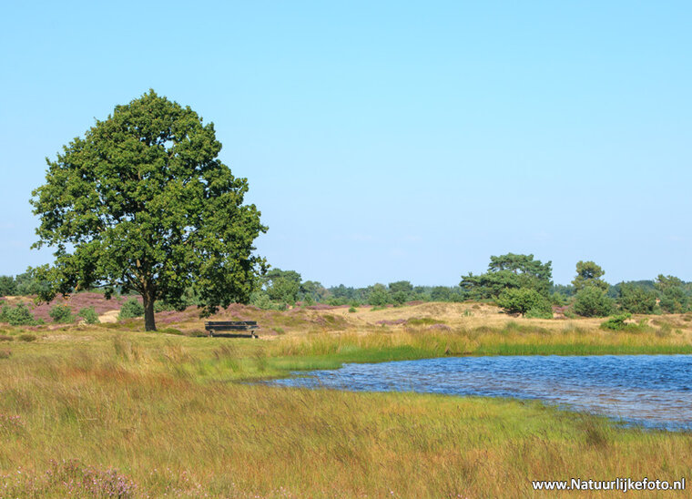 Photography workshop Appelscha