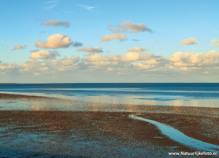 Photography workshop Friesland