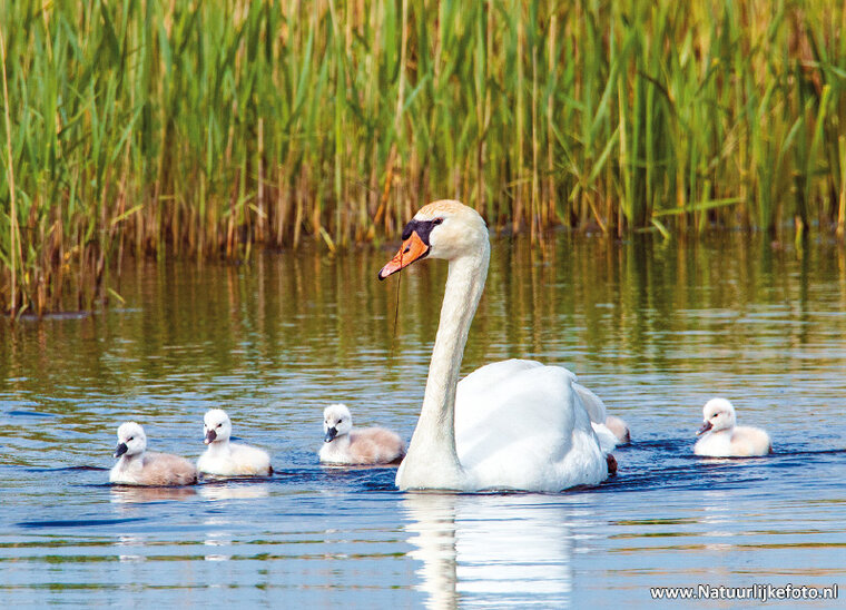 Photography workshop Friesland