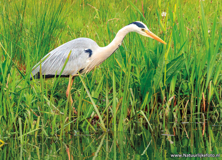 Photography workshop Heerenveen
