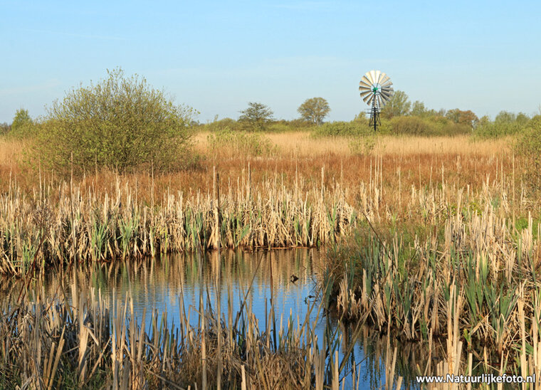 Photography workshop Heerenveen