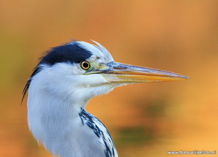 Photography workshop Leeuwarden