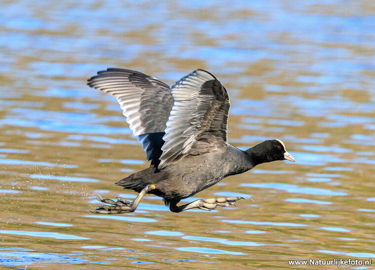 Photography workshop Leeuwarden