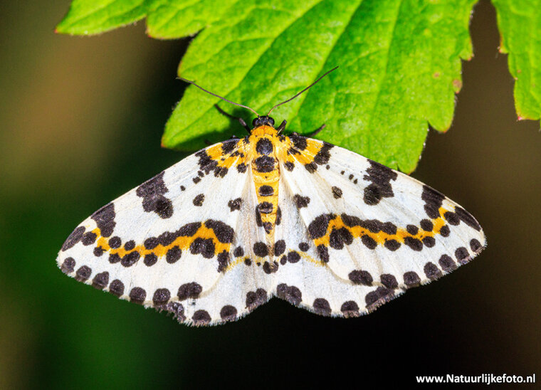 Photography workshop Hoogeveen