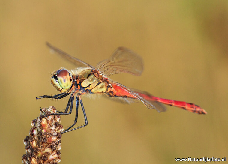 Photography workshop Hoogeveen