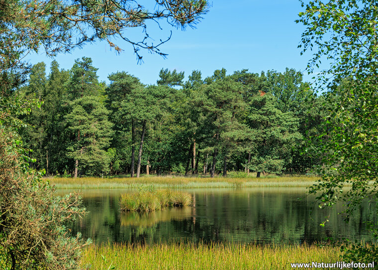 Photography workshop Beilen