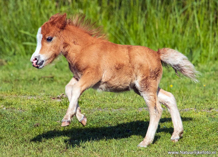 Photography workshop Heerenveen