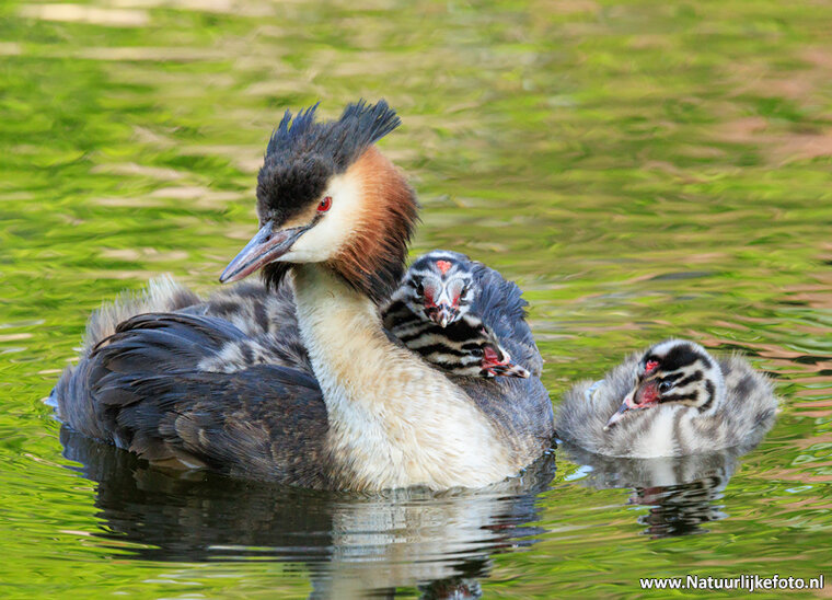 Photography workshop Assen