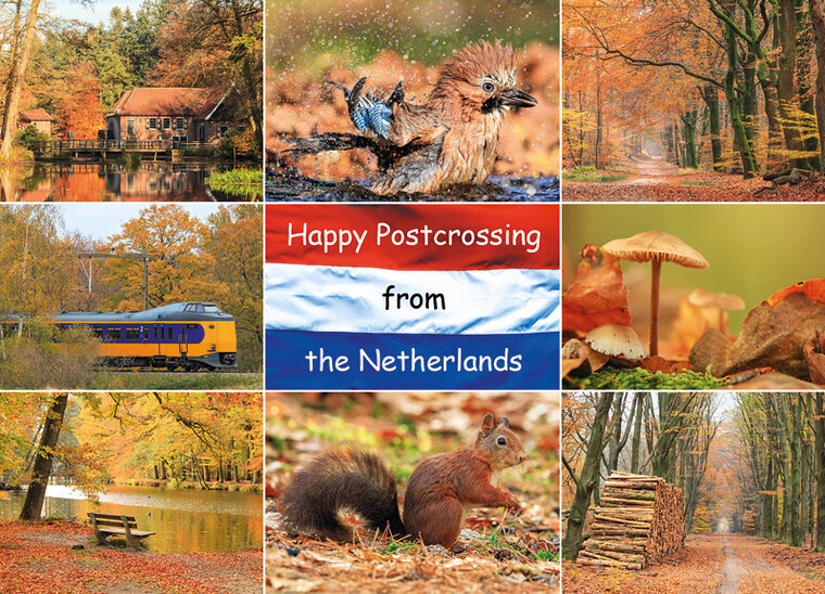 postcard Happy Postcrossing Autumn