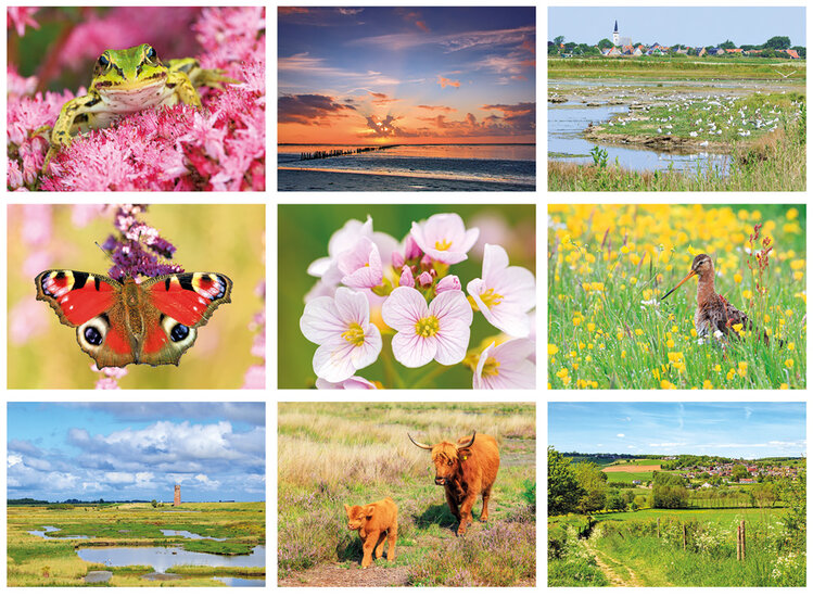 nature postcards