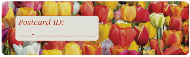 Postcrossing ID stickers | 6x tulips (S024) Postcrossing ID stickers | 6x tulips (S024)