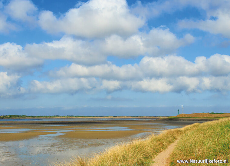 postcard Mokbaai on Texel