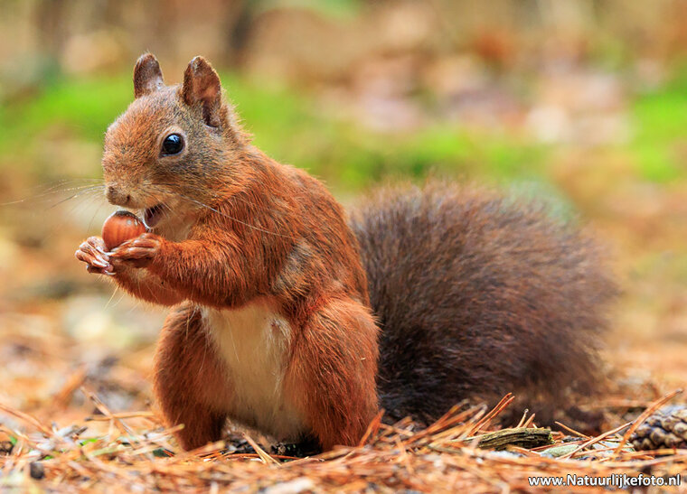 Photography workshop Leeuwarden