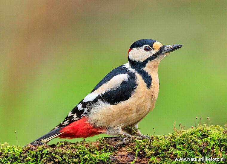 Photography workshop Drenthe