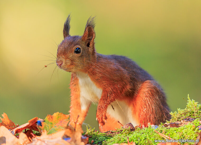 Photography workshop Drenthe