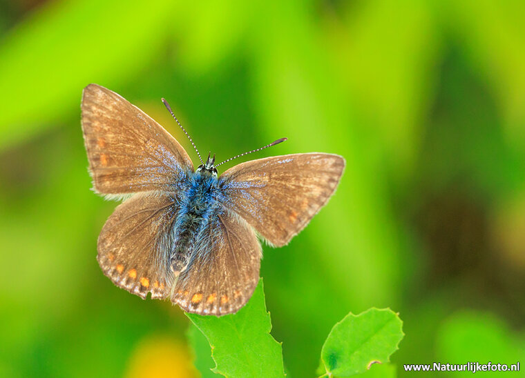 Photography workshop Drenthe