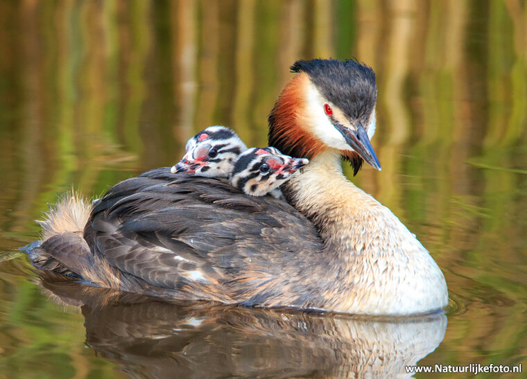 Photography workshop Drenthe