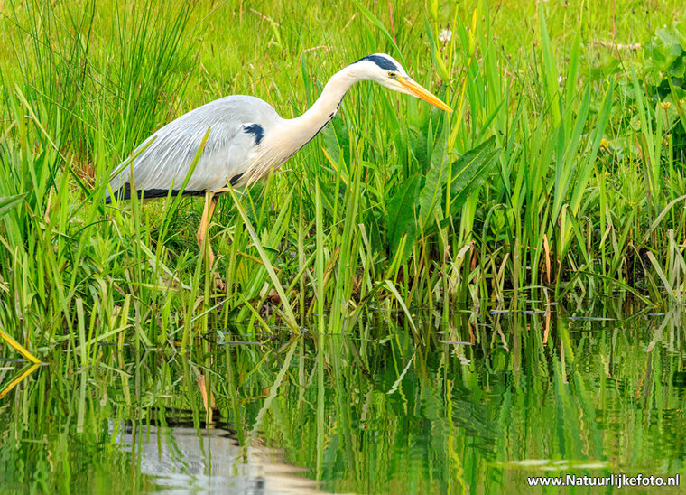 Photography workshop Haren