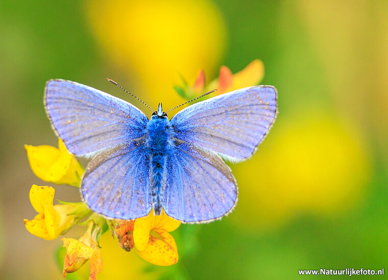Photography workshop Haren