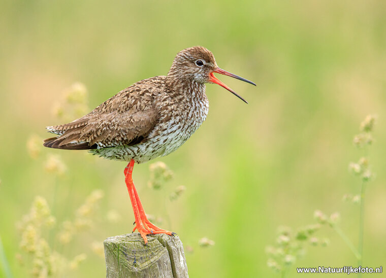 Photography workshop Heerenveen