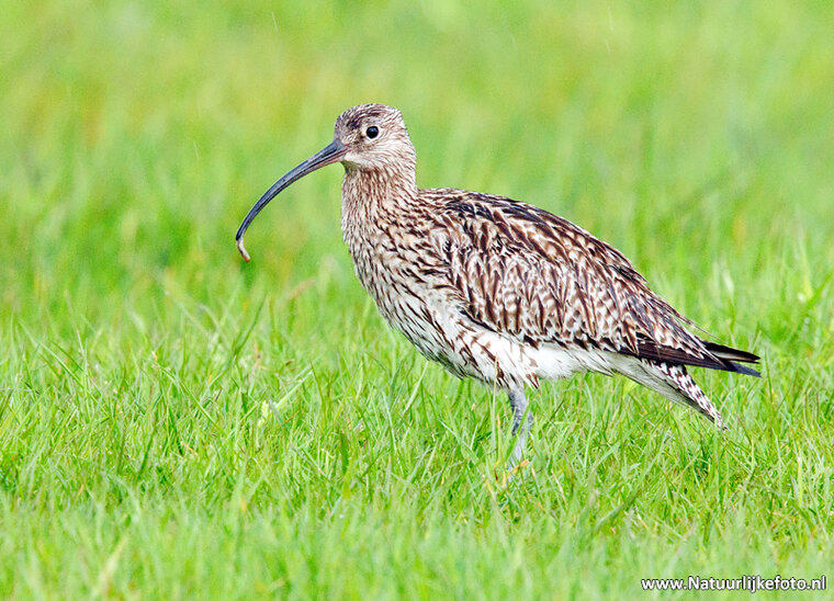 Photography workshop Heerenveen