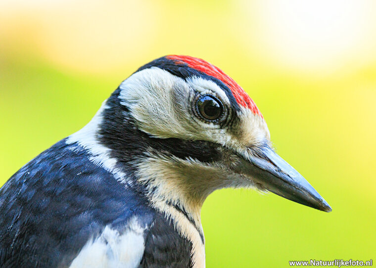 Photography workshop Zuidhorn