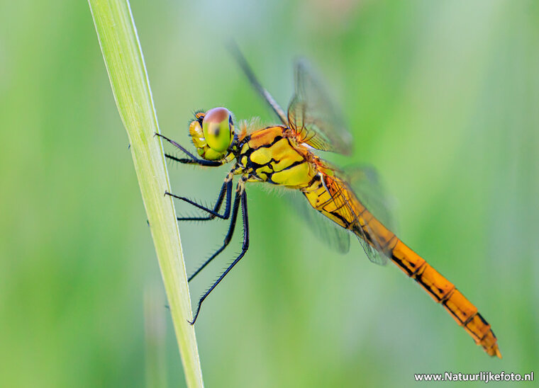 Photography workshop Hoogeveen
