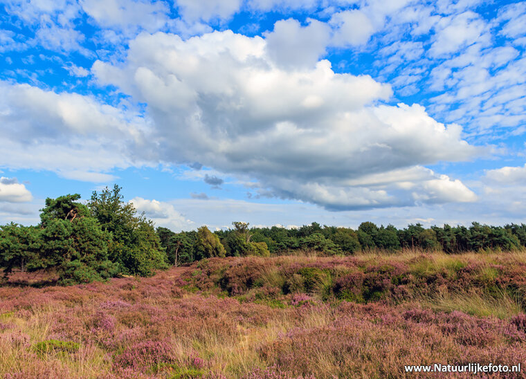 Photography workshop Hoogeveen