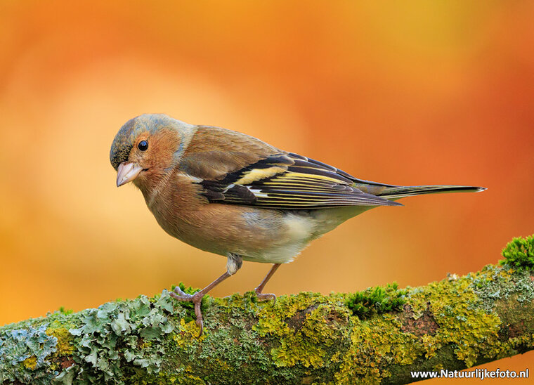 Photography workshop Hoogezand