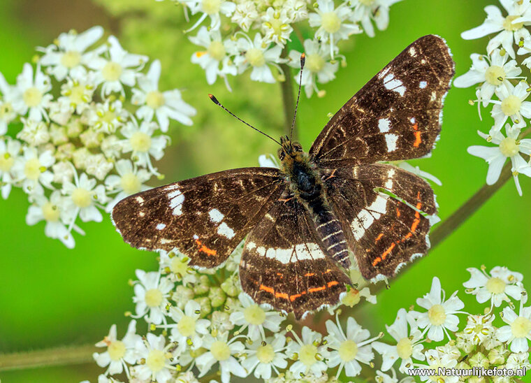 Photography workshop Hoogezand