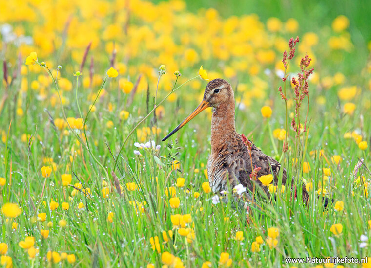 Photography workshop Heerenveen