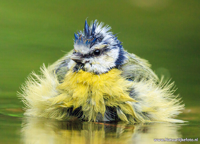 Photography workshop Heerenveen