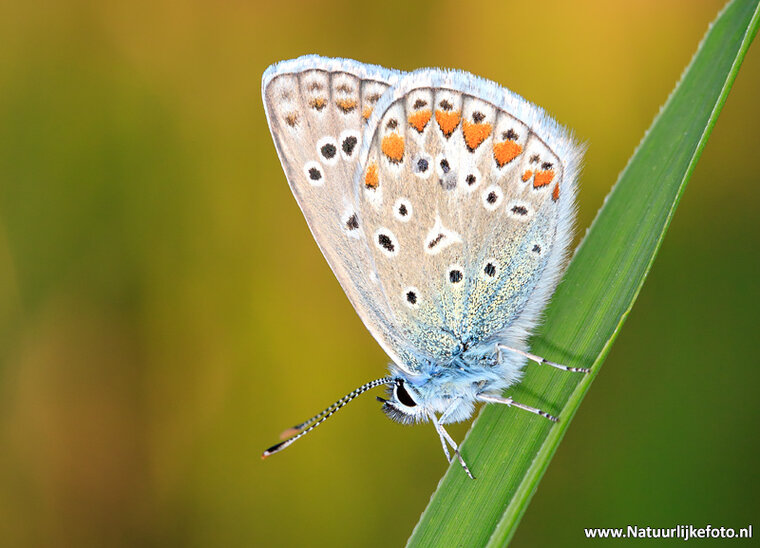 Photography workshop Hoogeveen