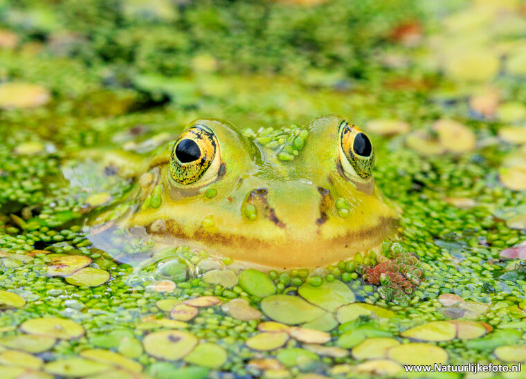 Photography workshop Assen