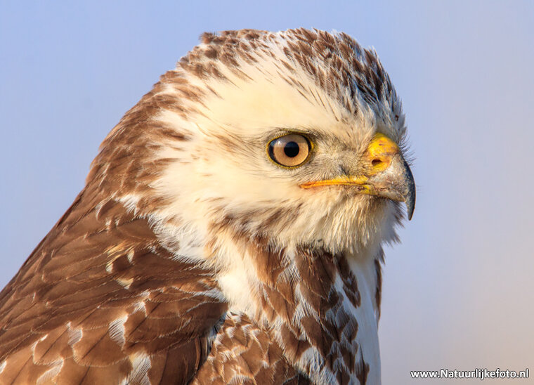 Photography workshop Assen