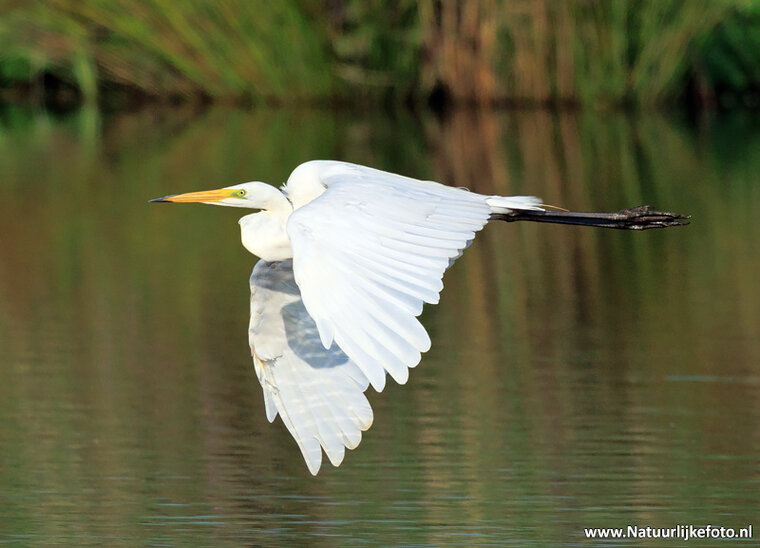 Photography workshop Hoogezand