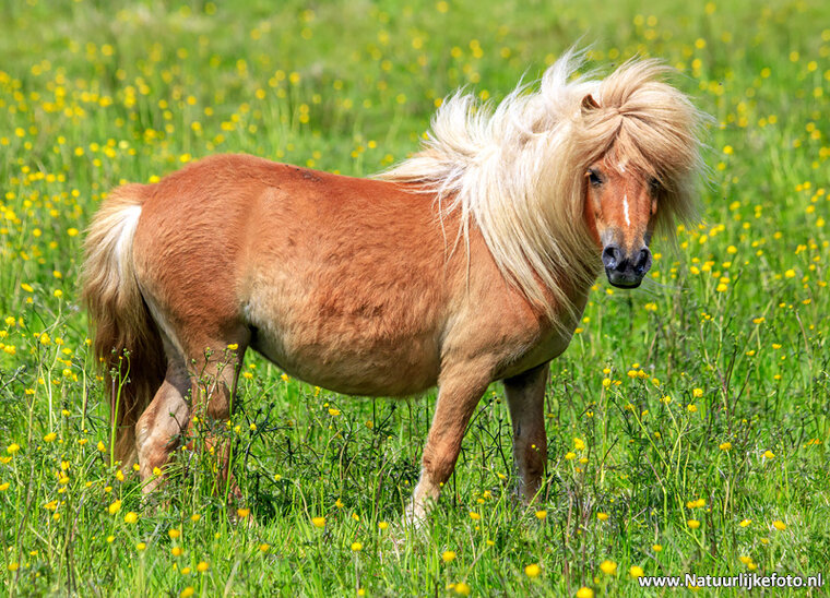 Photography workshop Haren