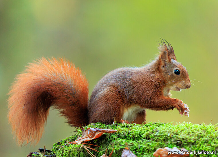 Photography workshop Appelscha