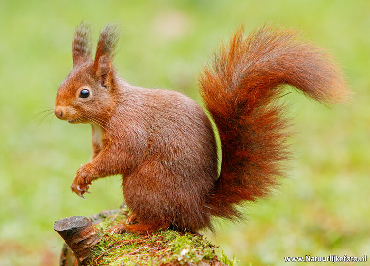 Photography workshop Haren