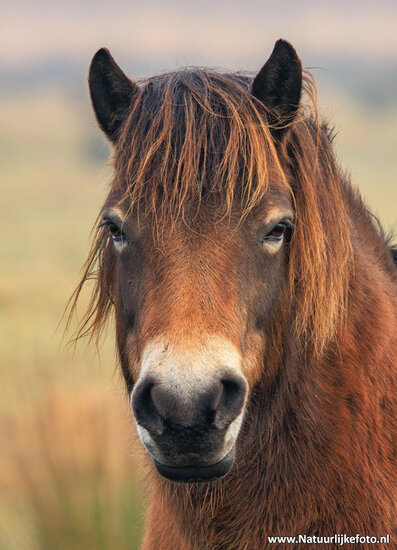 Photography workshop Zuidhorn
