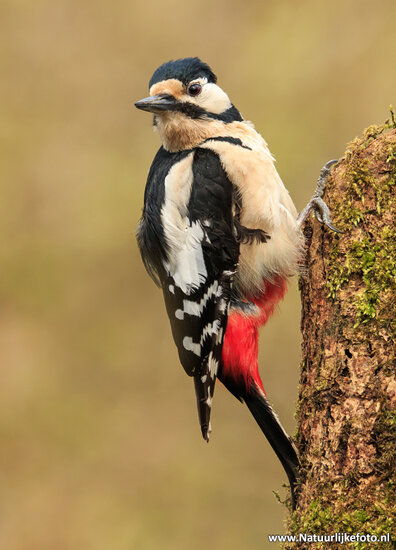 Photography workshop Hoogezand